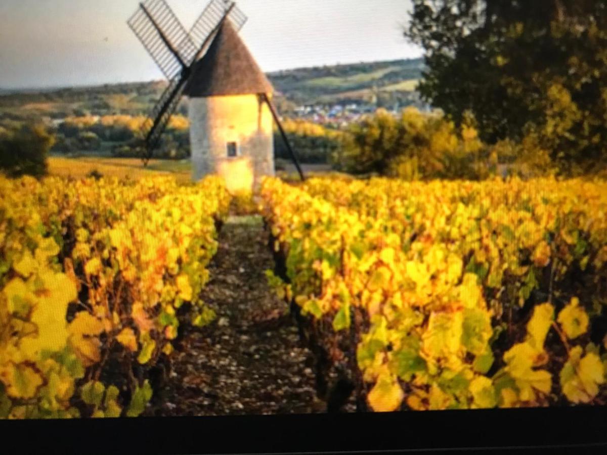 Maison M On The Dordogne Sainte-Foy-la-Grande Dış mekan fotoğraf